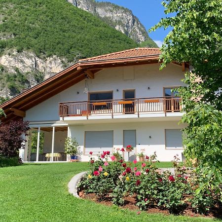 Magre all' Adige Haus Greti 아파트 외부 사진