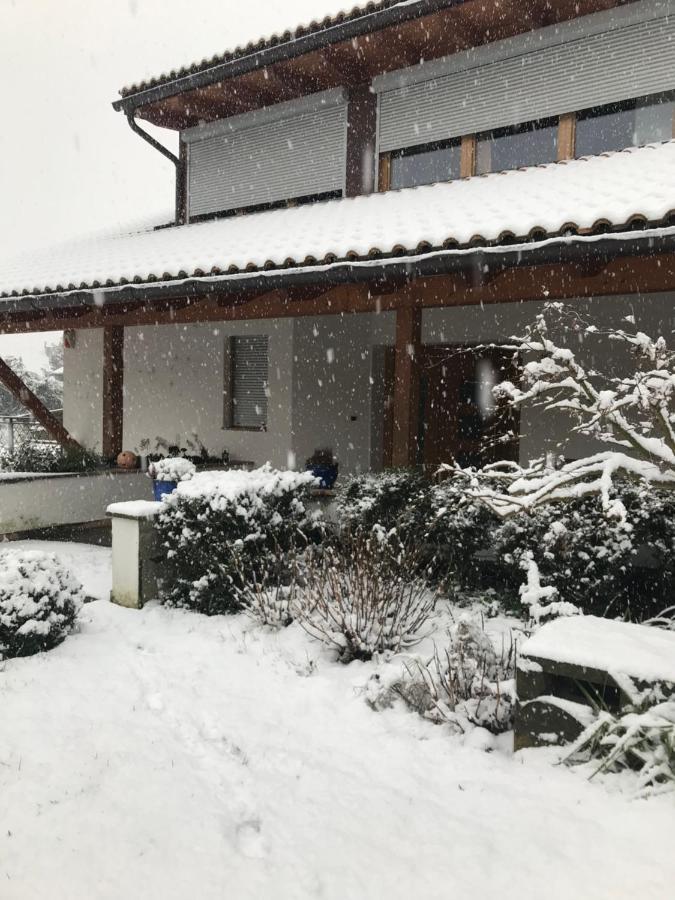 Magre all' Adige Haus Greti 아파트 외부 사진